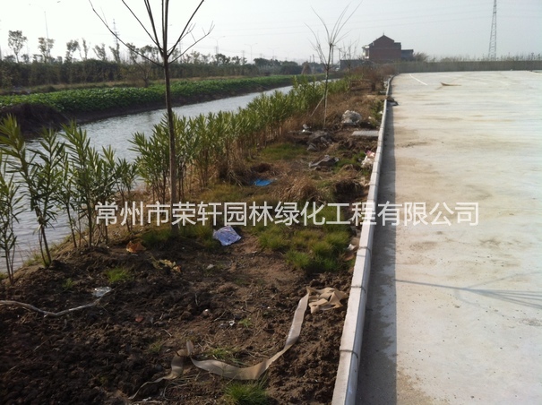 兆勝集團(tuán)施工