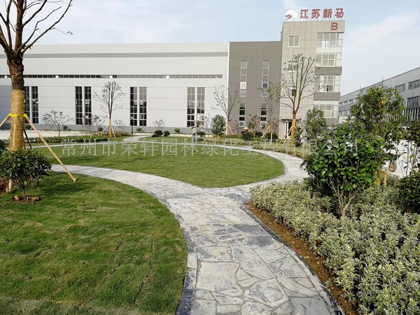 常州新馬干燥施工