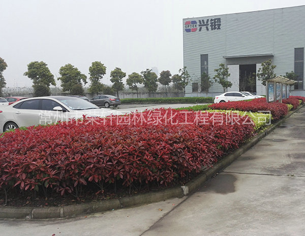 溧陽中興西田養(yǎng)護