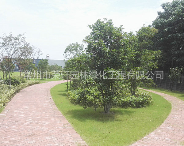 愛科（常州）機(jī)械養(yǎng)護(hù)