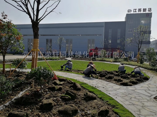 常州新馬干燥施工