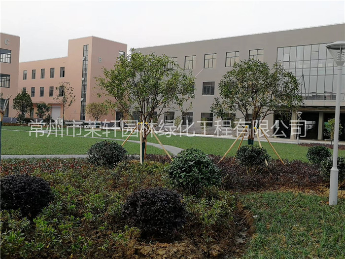 常州西瑪特電器養(yǎng)護(hù)