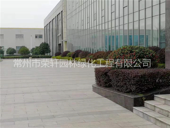 常州新譽集團養(yǎng)護