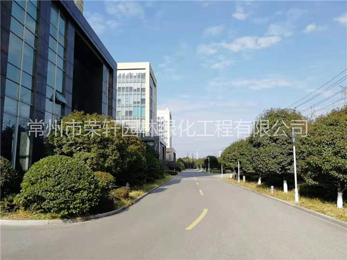 常州新譽集團養(yǎng)護