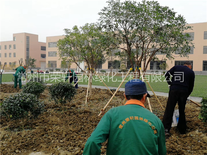 常州西瑪特電器養(yǎng)護