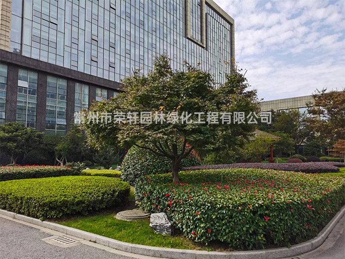 常州新譽(yù)集團(tuán)養(yǎng)護(hù)